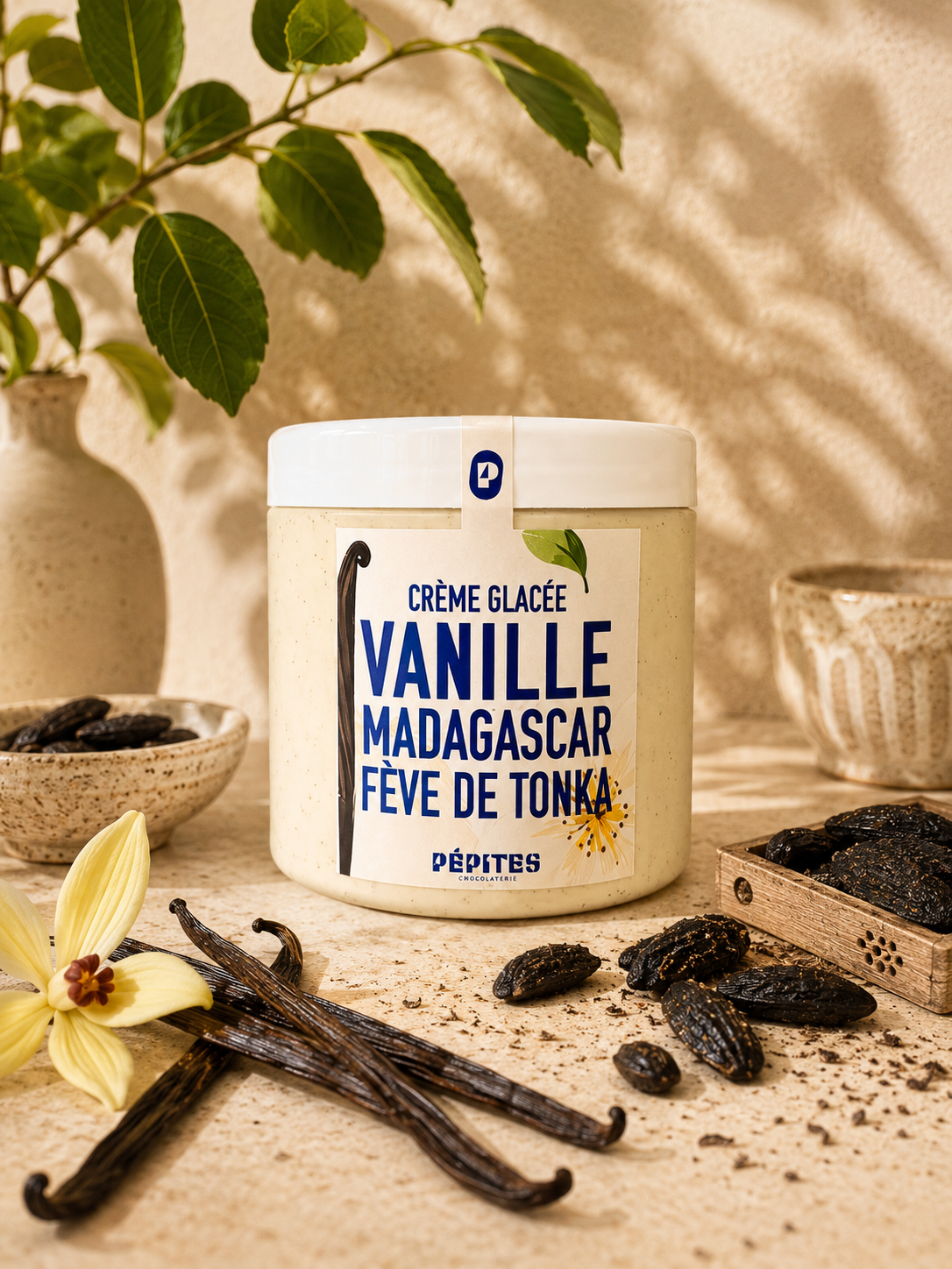Glace Vanille de Madagascar et Tonka