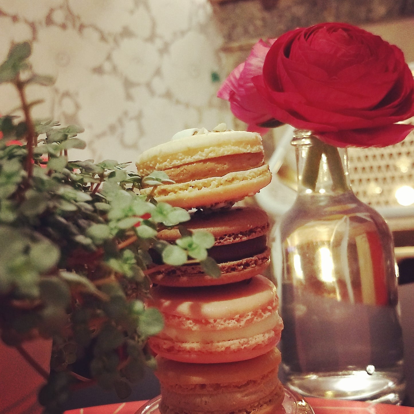 Coffret Macarons