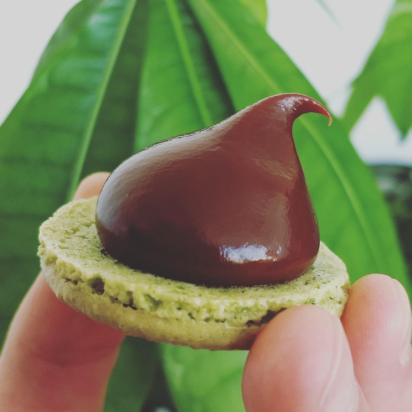 Coffret Macarons
