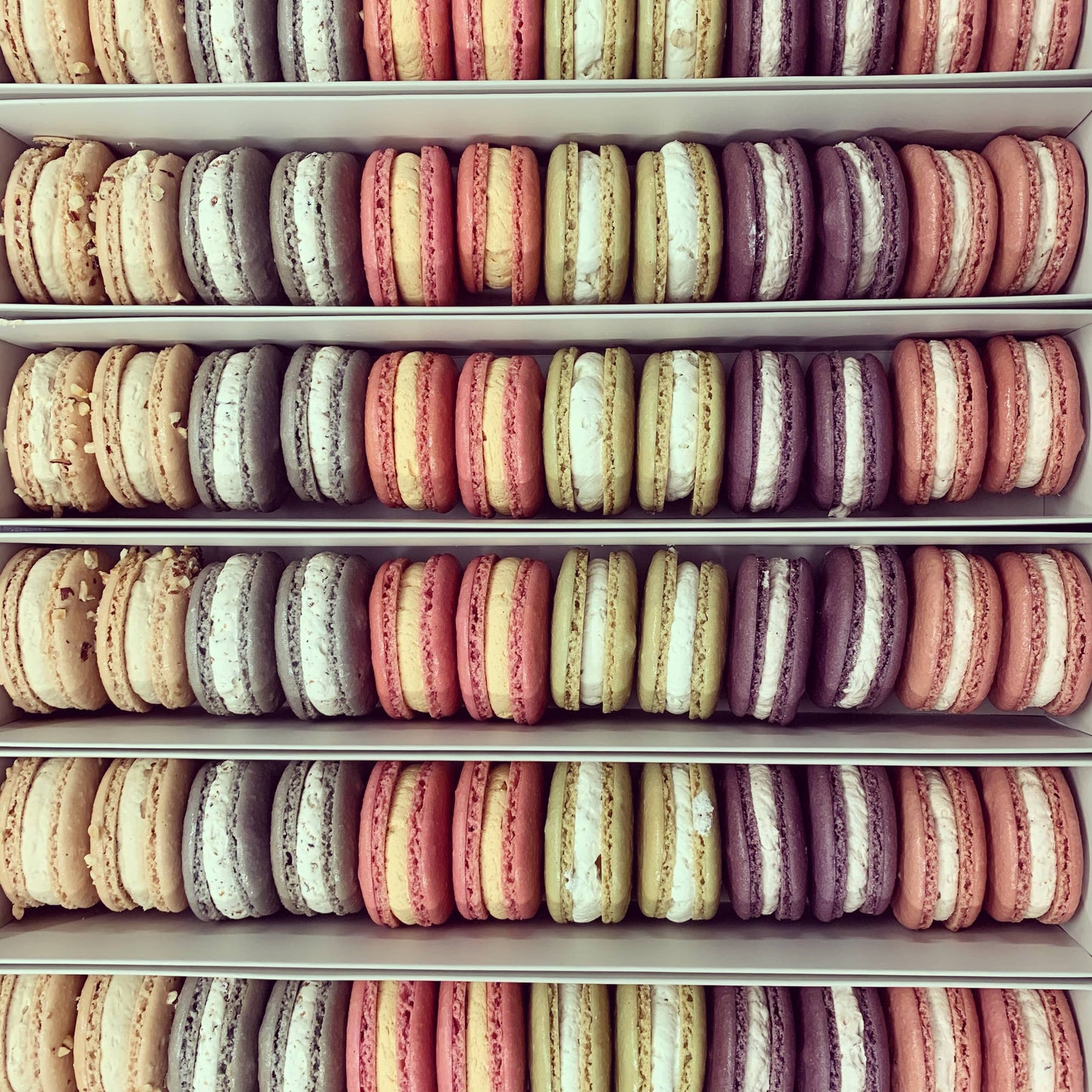 macarons salés