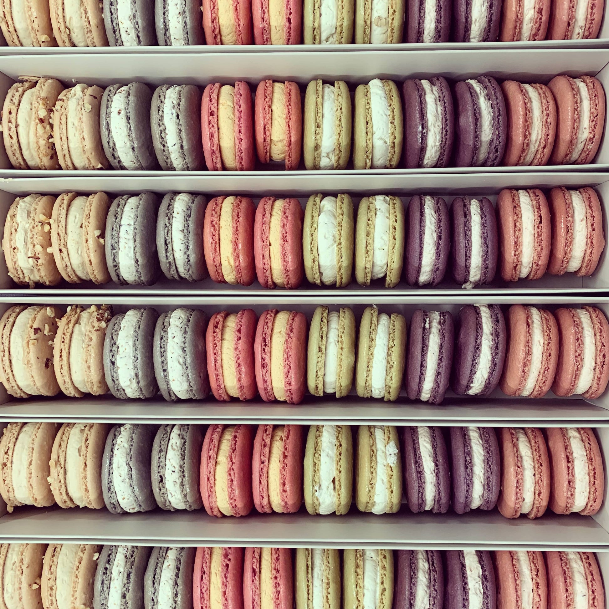 macarons salés