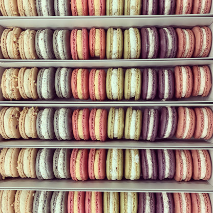 macarons salés
